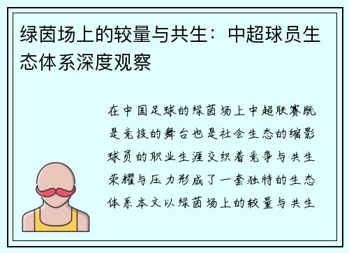 绿茵场上的较量与共生：中超球员生态体系深度观察