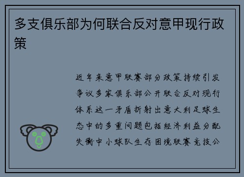 多支俱乐部为何联合反对意甲现行政策